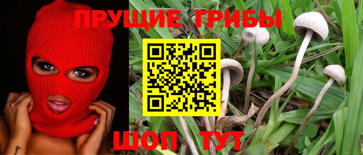 Псилоцибиновые грибы Magic Shrooms Кудымкар